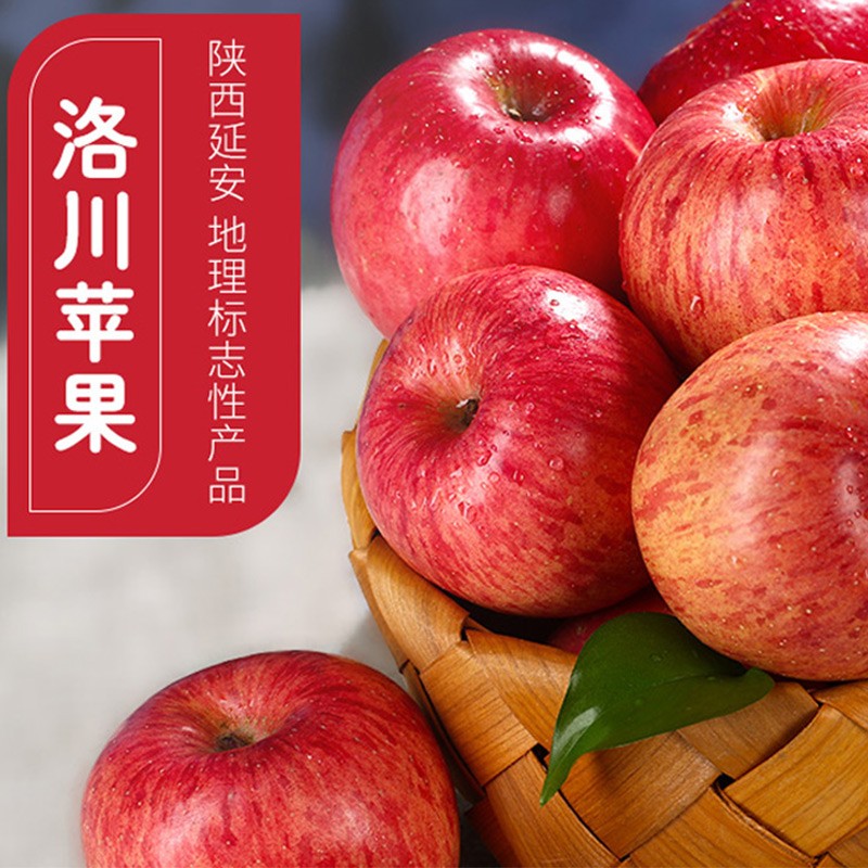 陕西洛川苹果红富士现摘冰糖心
