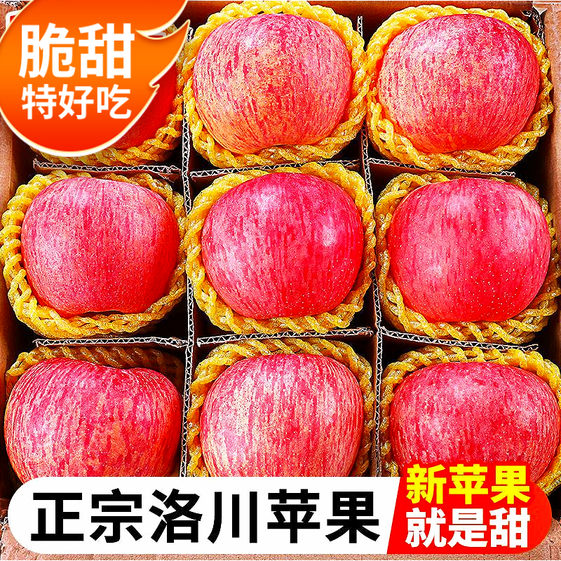 陕西洛川苹果脆甜水晶24枚整箱装