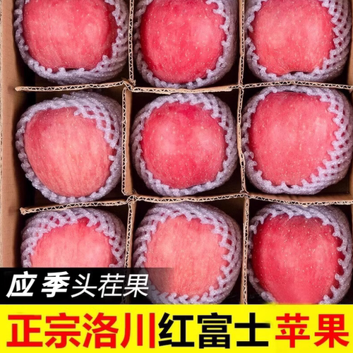 新鲜陕西苹果脆甜多汁