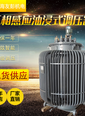 三相油浸式感应调压器0-430V500V650V可调变压器TSJA-100KVA200KW