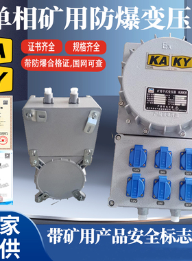 单相防爆矿用行灯变压器380V220变127V110V36V2412VBBK-500VA定制