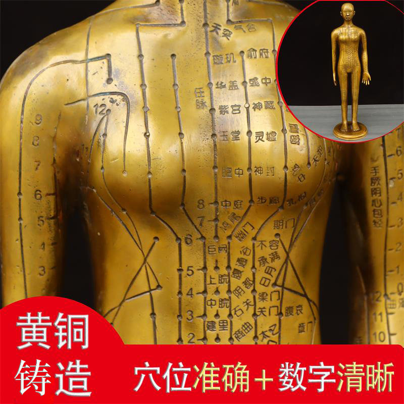 针灸铜人模型中医馆摆件经络穴位铜人中医文化装饰品人体模特物品