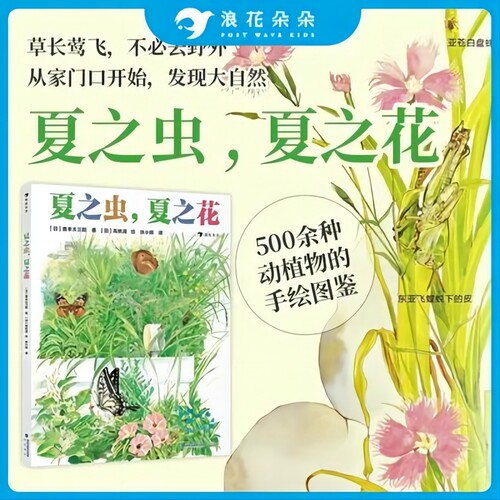 浪花朵朵童书夏之虫、夏之花