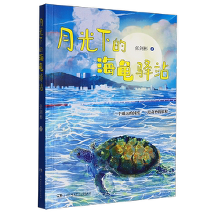 月光下的海龟驿站