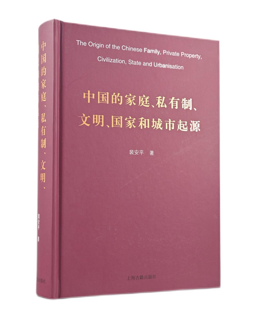 中国的家庭,私有制,文明,国家和城市起源 裴安平