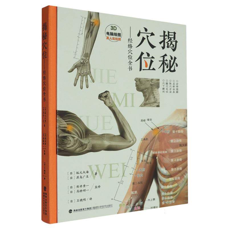 揭秘穴位:经络穴位全书