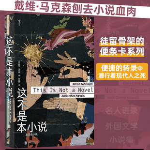 这不是本小说:及其他小说 戴维马克森著 便条卡名言引用信息流式文学 美国实验文学后现代小说外国文学书籍 后浪正版
