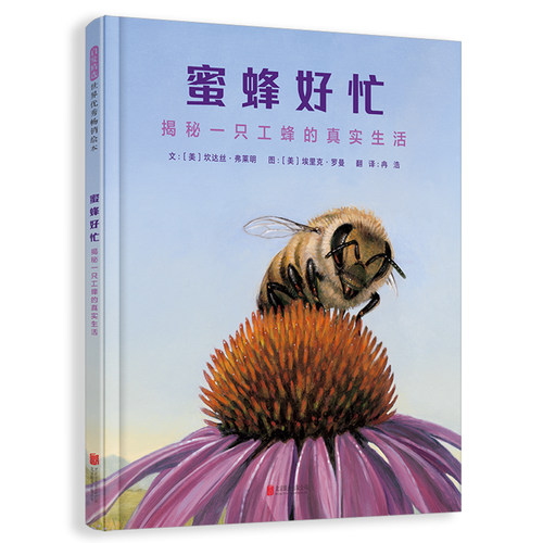 蜜蜂好忙:揭秘一只工蜂的真实生活