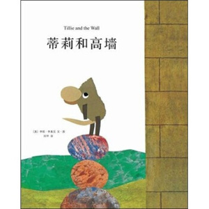 蒂莉和高墙(精)