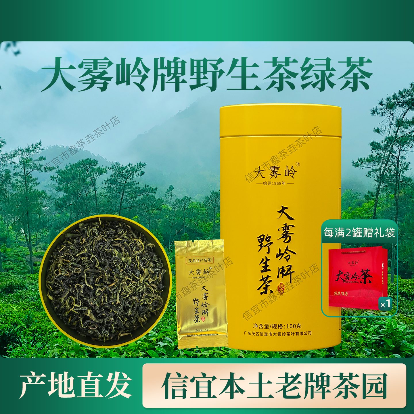 大雾岭野生茶信宜特产2025年新茶