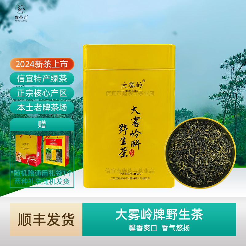 大雾岭茶信宜特产绿茶2024年春茶