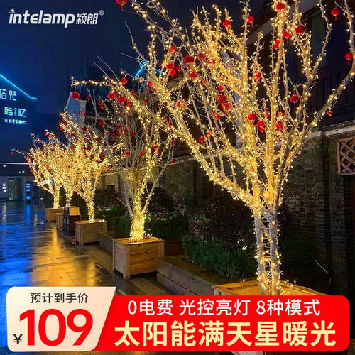 颖朗（Intelamp）太阳能彩灯闪灯串户外庭院满天星装饰别墅花园室