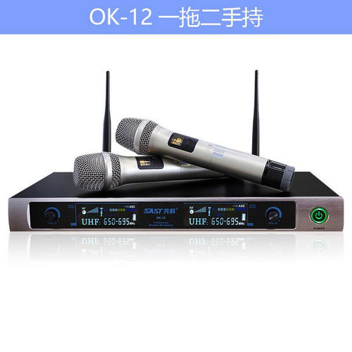 先科（SAST）无线话筒家用唱歌专业ktv卡拉Ok一拖二other/其他 无