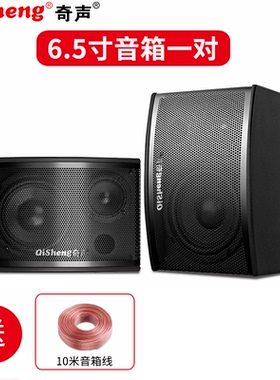 奇声家庭ktv音响家庭影院智能专业卡拉ok电视唱歌音箱会议音响【6