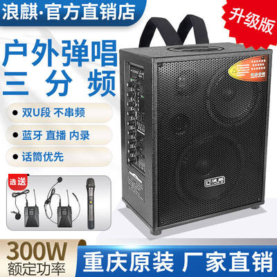 浪麒（LANGQI）103户外背带音箱便携式大功率音响带无线话筒移动