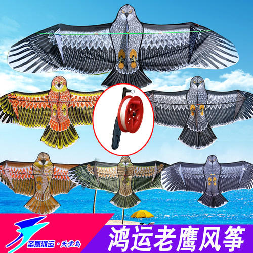 老鹰风筝潍坊风筝风兜鹰大黄鹰弯鹰三角鹰前撑杆老鹰风筝吓鸟老鹰 - 封面