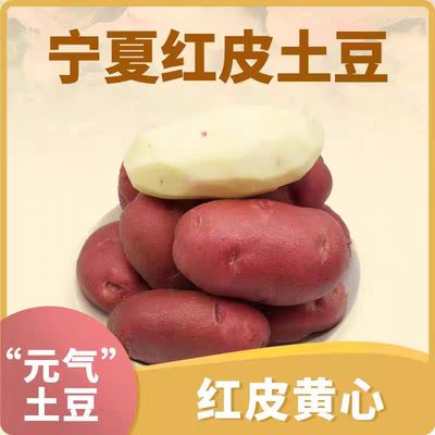 宁夏高原红皮土豆农家自种马铃薯