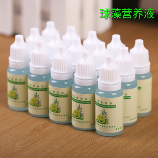 海藻球营养液生长素植物通用微量元素养分marimo球藻专用液体肥料