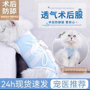 猫咪绝育服母猫手术服衣服防掉毛断奶公猫防舔术后宠物猫猫防护服