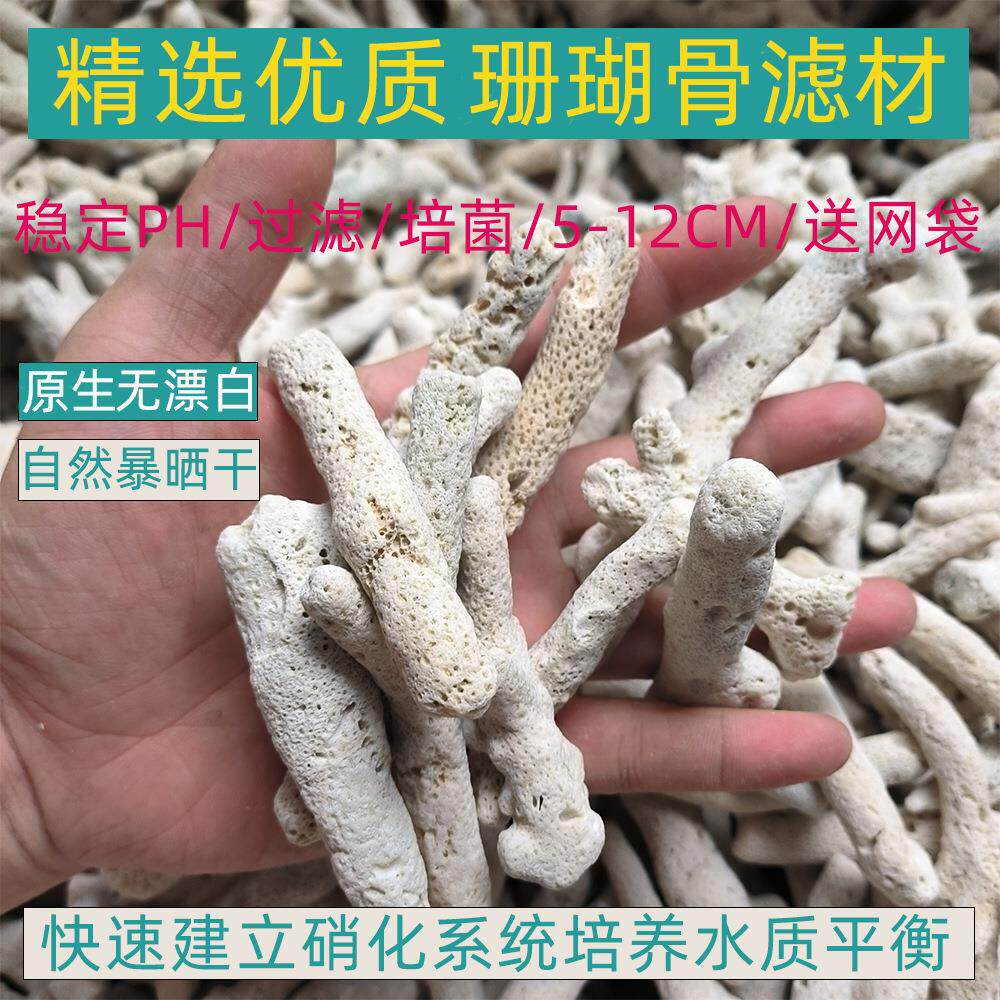 珊瑚骨滤材鱼缸过滤材料鱼池珊瑚石底砂水族箱造景沙稳定水质图片