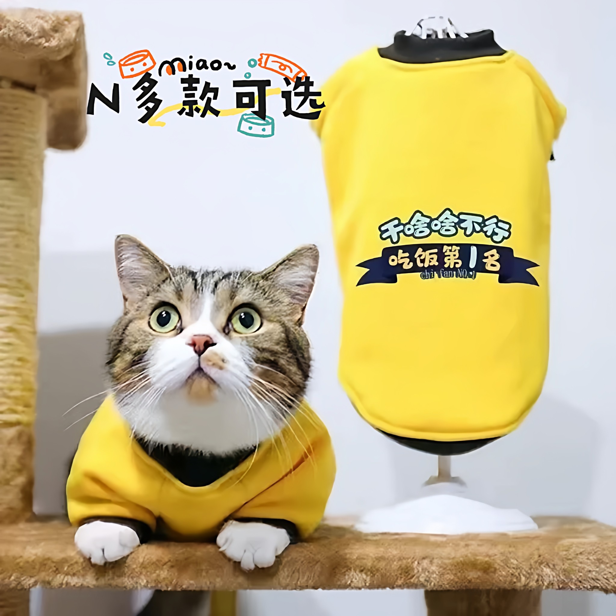 可爱猫咪衣服秋冬新款加厚保暖防掉毛英短布偶比熊宠物小狗打底衫