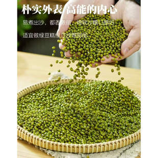 安徽六安大别山金寨特产农家自种生态种植老品种小绿豆2斤 包邮
