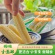 纳老品种香糯拇指玉米四季 云南西双版 种植辅食 傣家拇指小玉米