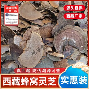 蜂窝灵芝毛蜂窝孔菌龙眼树菌整支灵芝500克非特级野生