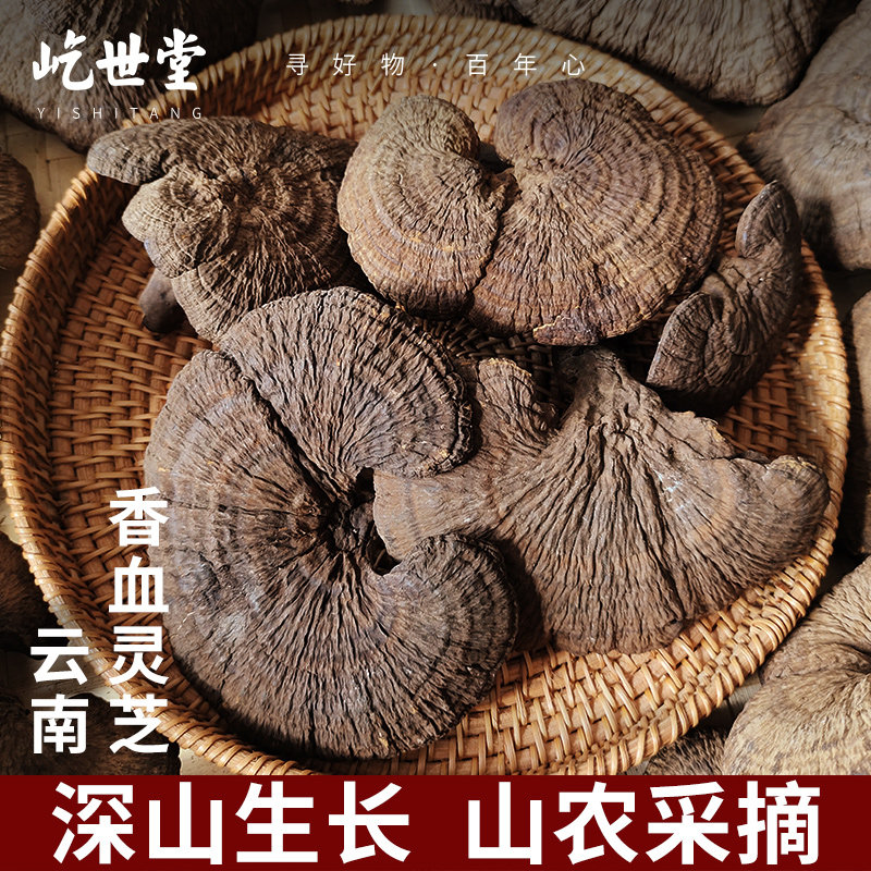 云南野生香血灵芝500克黑肉皱盖假芝血灵芝乌芝干品非长白山灵芝