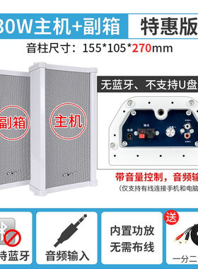 先科（SAST）ST-501户外蓝牙防水音柱室外挂墙壁挂式音响功放喇叭