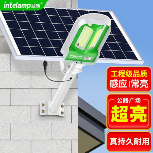颖朗（intelamp）太阳能灯庭院灯户外新农村道路照明大功率led超