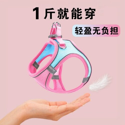 小猫背带小体犬幼犬专用牵引绳超小约克夏胸背茶杯犬1斤小号鹿犬