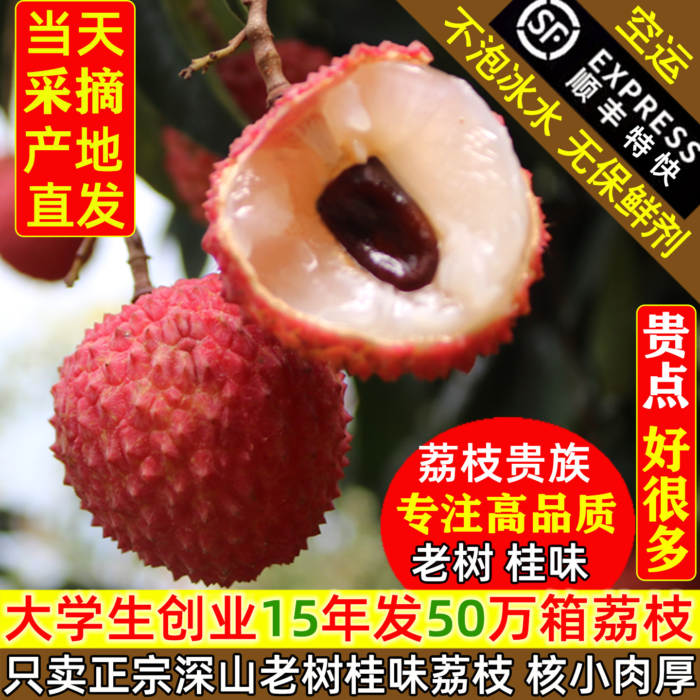 荔枝新鲜现摘老树桂味荔枝超甜核小肉厚仙进糯米奉糍顺丰当季水果 - 实物图