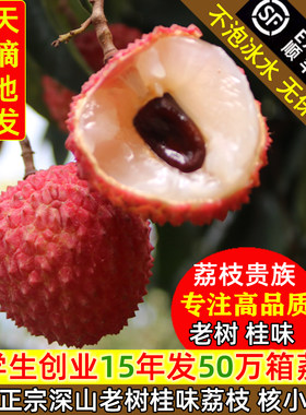 百年老树桂味荔枝真小核顺丰空运