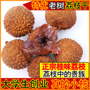 2025新货老树桂味荔枝干晒干核小肉厚高州特靓干荔枝特产 特优