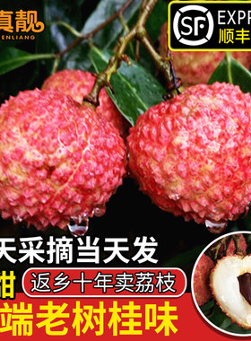 百年老树桂味荔枝超甜核小空运发