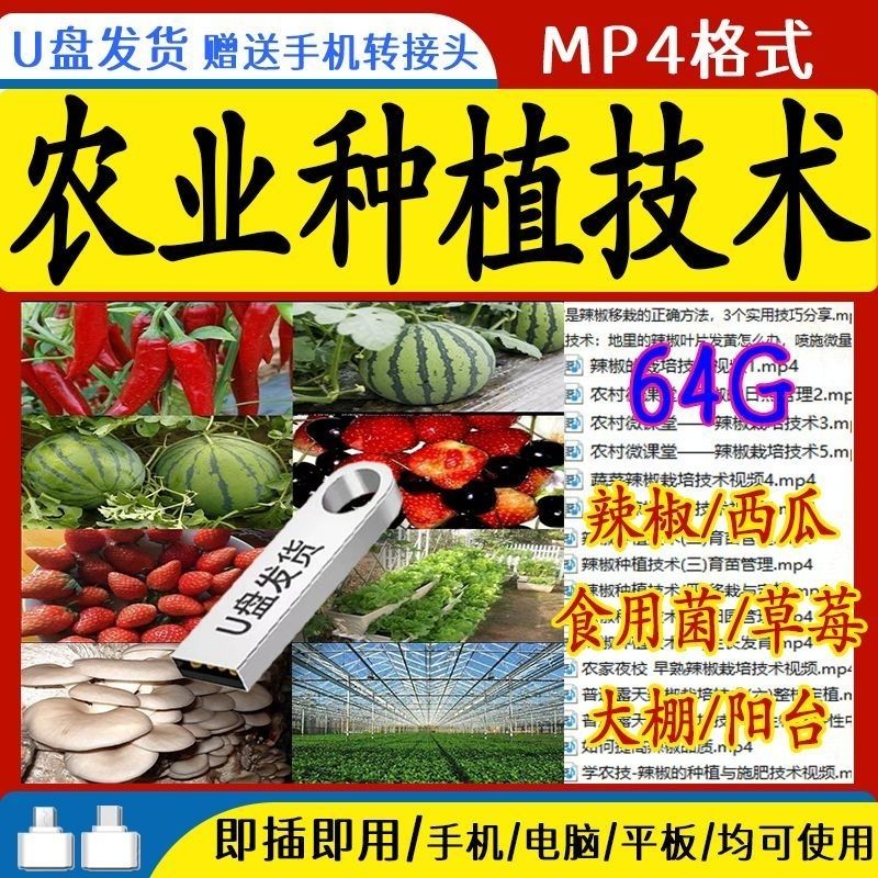 农业种植技术视频教程U盘辣椒西刻录盘个性化服务