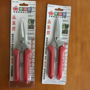 编藤剪刀葡萄修枝剪园艺采果芽剪刀修花柑橘子摘果稀果剪水果蔬果