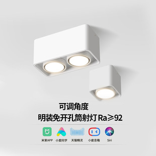 智能米家明装射灯led斗胆灯方形双头客厅卧室凌动筒灯无主灯照明