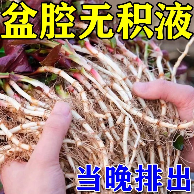 治盆腔积液的药偏方卵输管疏慢性盆腔炎附件炎热敷包调理中药贴膏