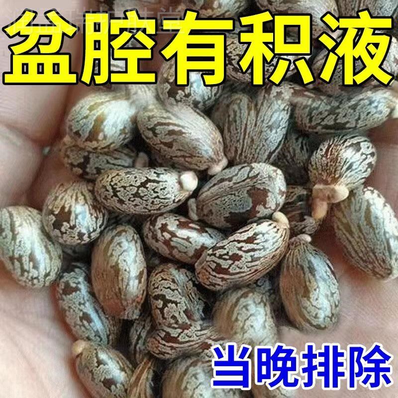 当天排出】宫腔盆腔积水积液卵输管不通热敷包通而不畅黏连堵塞H