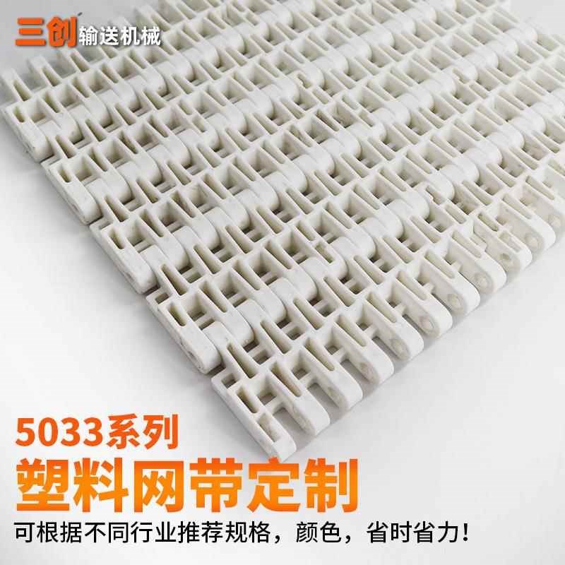 50模块塑料网带平格塑料模组网链纺织布料上色清洗网格输送带
