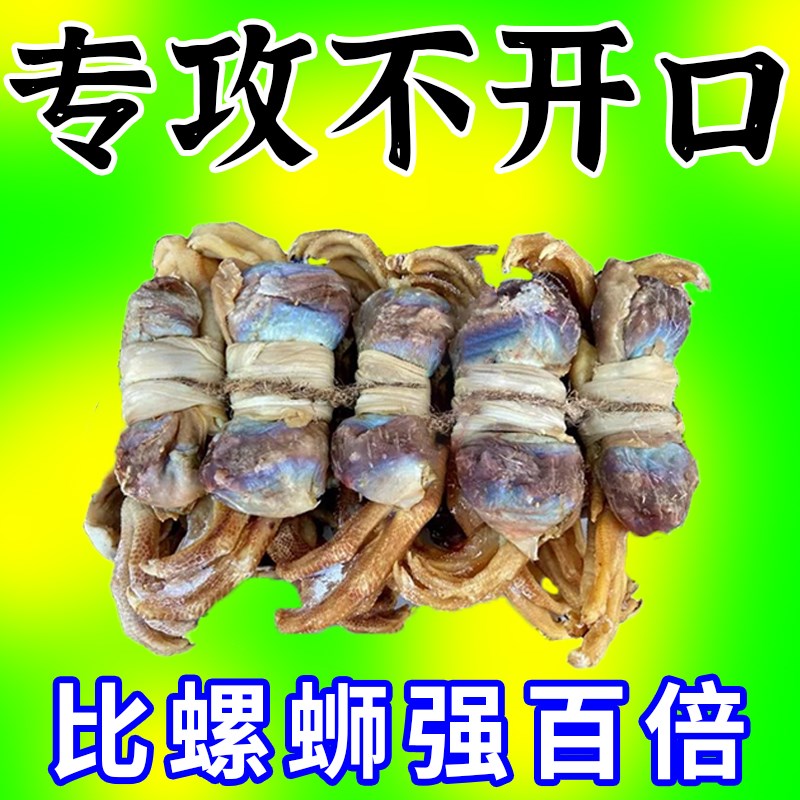 比螺丝强】青鱼饵料钓青鱼乌青螺蛳青青鲩乌鲭专用钓鱼饵料诱食剂