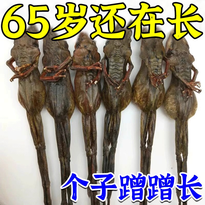 6-48岁通用】长高神器新科技变5-30厘米矮个子变高贴内变高鞋垫贴