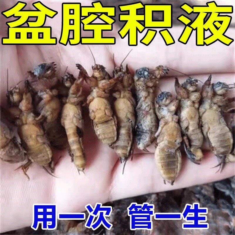 排空多年积液】盆腔炎热敷贴慢性盆腔炎小腹疼痛白带异常专用贴H