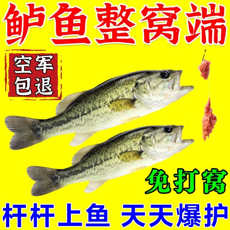 钓鲈鱼饵料黑坑水库湖泊野钓专用神器主攻淡水鲈鱼强力鱼饵添加剂