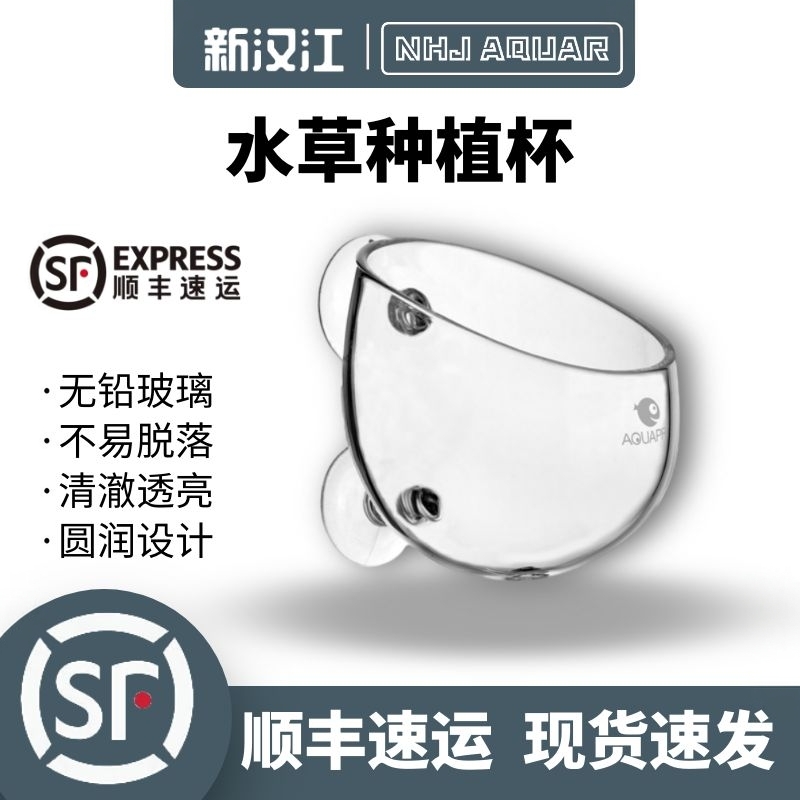 羡鱼水草造景种植花盆波尔卡育器