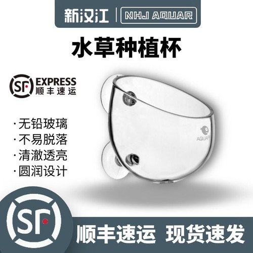 羡鱼水草造景种植花盆波尔卡育器
