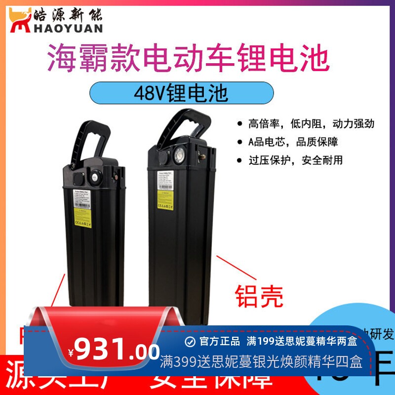 48V海霸款折叠两轮车智能防护