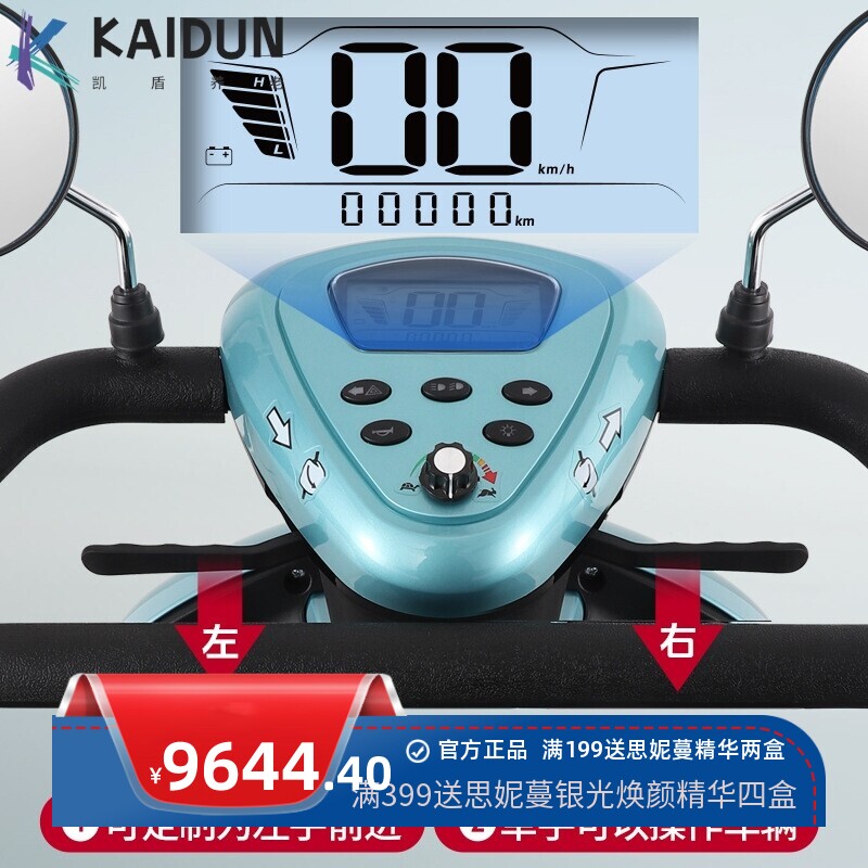 健步丽景双排座豪华家用老人四轮电动代步车电瓶车残疾人景区代步